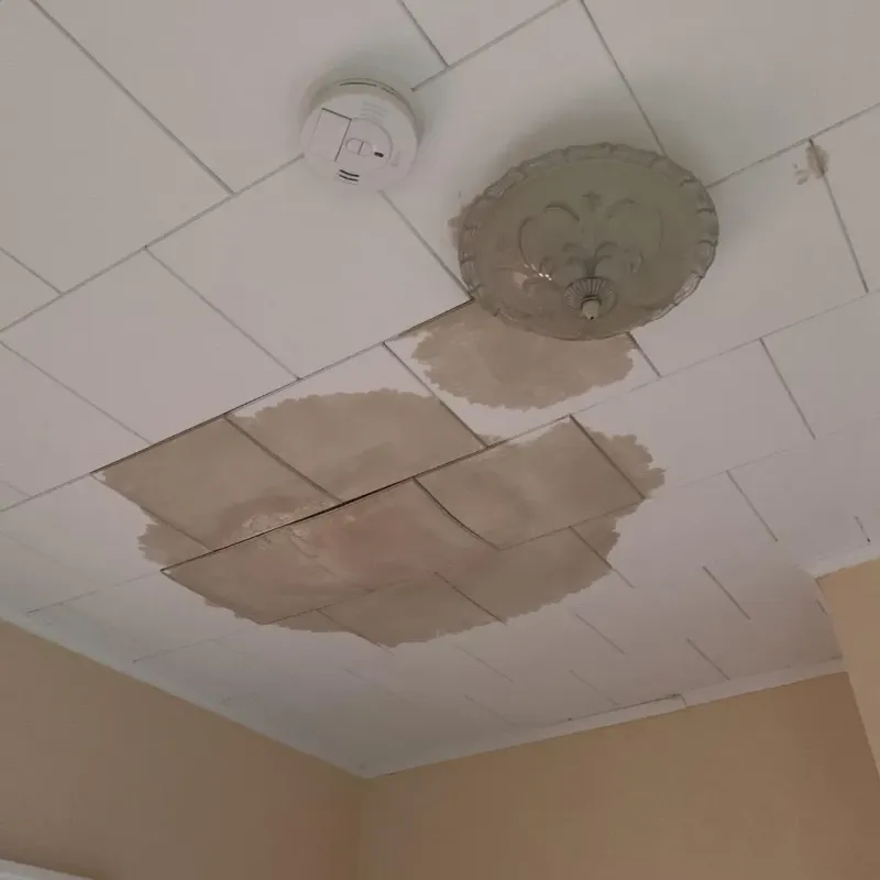 Ceiling Water Damage Repair in Branford Center, CT