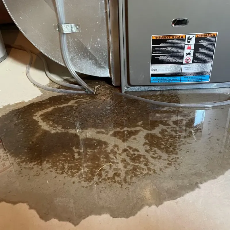 Pipe Burst and Leak Restoration in Branford Center, CT